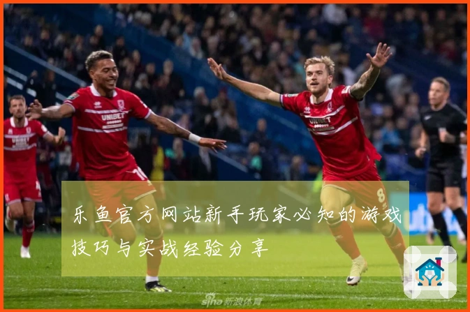 乐鱼官方网站新手玩家必知的游戏技巧与实战经验分享