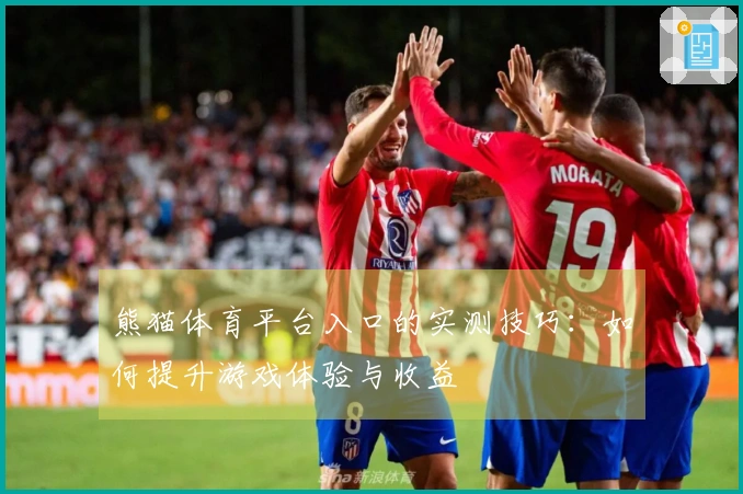 熊猫体育平台入口的实测技巧：如何提升游戏体验与收益