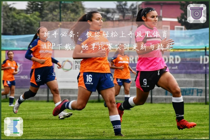 新手必备：教你轻松上手凤凰体育APP下载，畅享比赛实时更新与精彩赛事分析