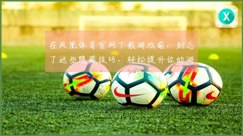 在凤凰体育官网下载游戏前，别忘了这些隐藏技巧，轻松提升你的游戏体验！