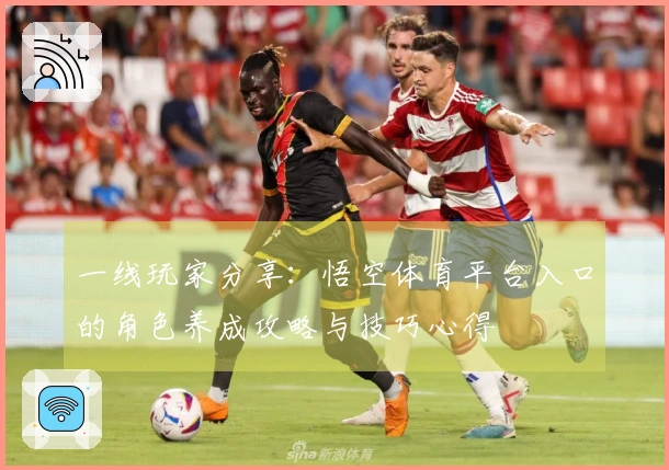 一线玩家分享：悟空体育平台入口的角色养成攻略与技巧心得